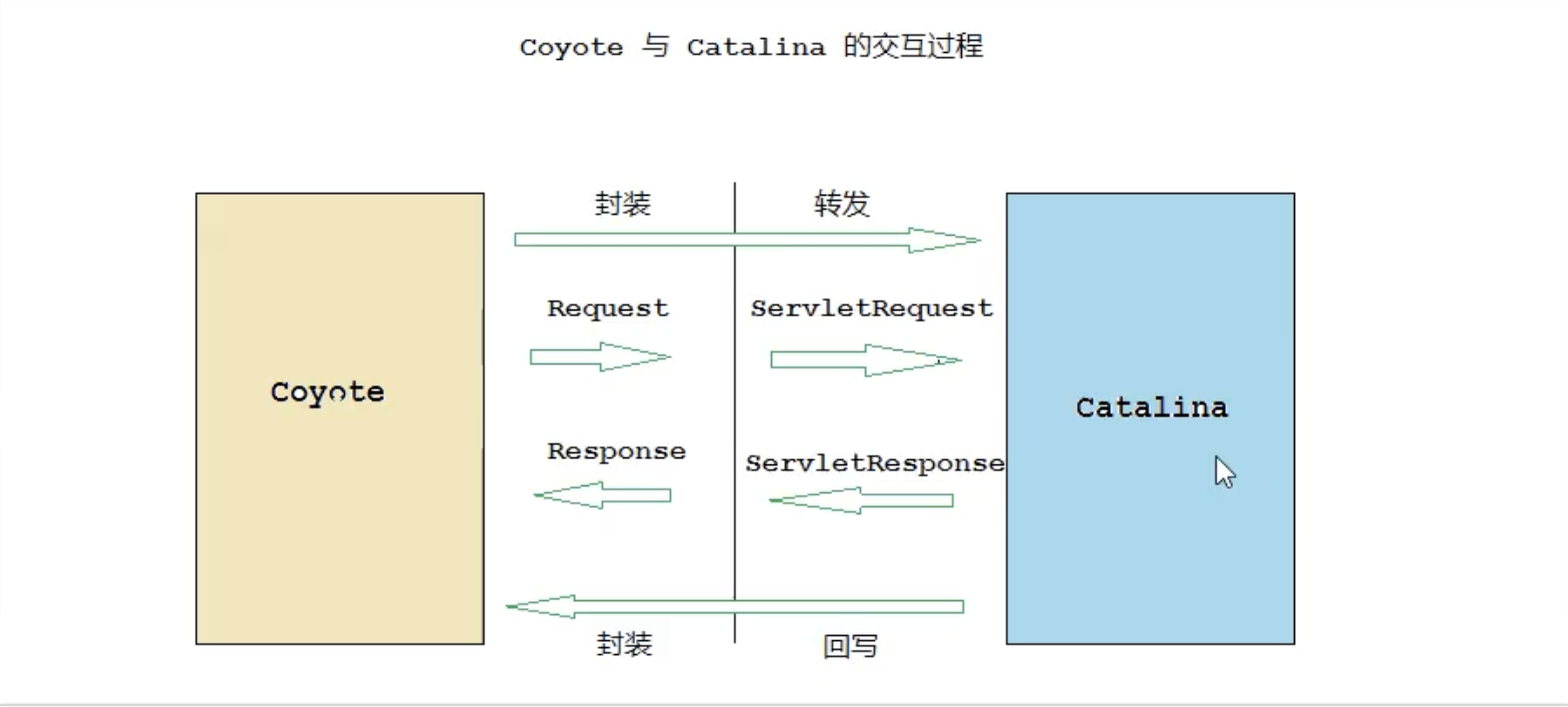 Coyote与Catalina